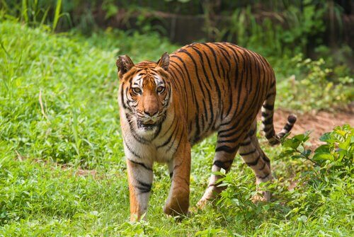 5 parques nacionais da Ásia imperdíveis
