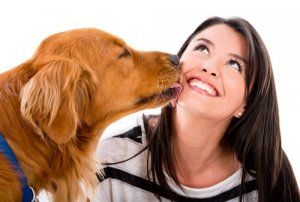 8 sinais de que seu animal de estimação te ama