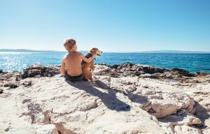 Acessórios de verão para cães