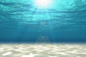 Como é a vida no mar?
