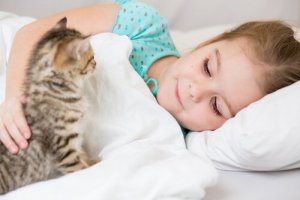 Os gatos são bons animais de estimação para crianças?