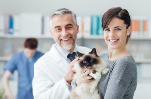 5 melhores clínicas veterinárias em Madri