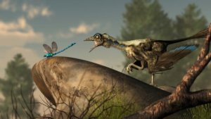 Qual é a origem das aves?