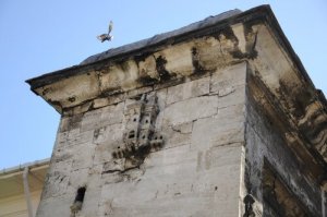 Palácios para pássaros em Istambul