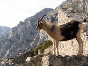 5 parques nacionais da Espanha