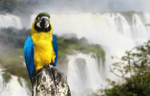 5 parques nacionais da Argentina