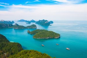 Ratos que arrasam os corais em Chagos