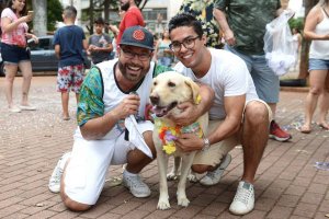 Cãozinho de rua é homenageado com bloco de Carnaval