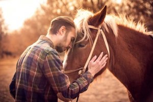 Seu cavalo ama você? Aprenda a reconhecer os sinais