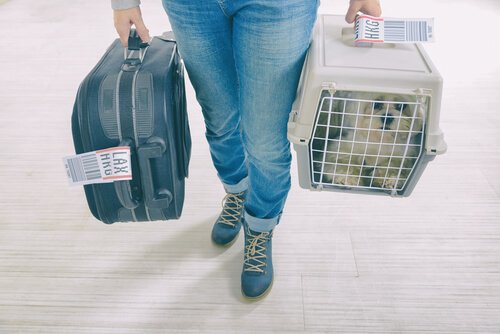 Mulher com mala e cachorro em caixa de transporte