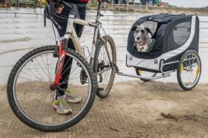 Trailer de bicicleta para cães