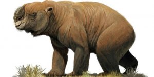 A extinta megafauna Australiana
