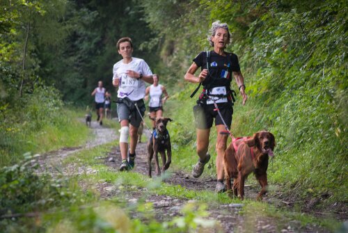 correr com cães