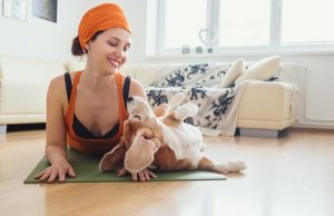 Benefícios do doga para cães