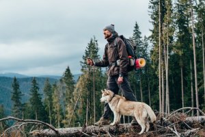 Dicas para caminhar com seu cão
