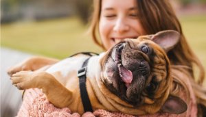 7 maneiras de mimar o seu cachorro