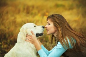 Como os cães processam as palavras dos humanos?