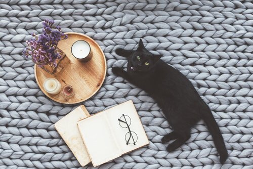 Contos sobre gatos na literatura