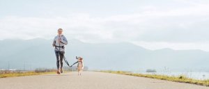 Benefícios de correr com seu cão