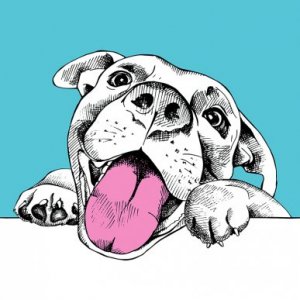 Como fazer uma caricatura do seu animal de estimação