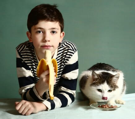 Conheça as frutas que os gatos podem comer