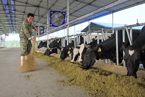 higiene e saude da fazenda
