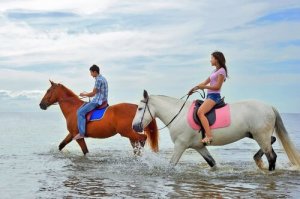Posso andar com meu cavalo na praia?