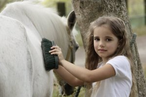 De qual limpeza diária seu cavalo precisa?