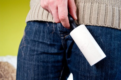 Tirador de pelos de roupas