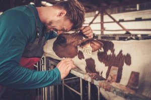 Produtos farmacológicos para uma fazenda