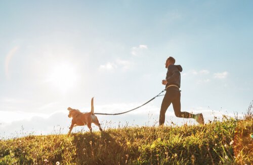 atividade física com cães