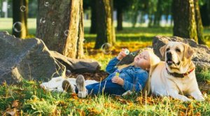 Raças de cães tranquilos: conheça 5 delas!