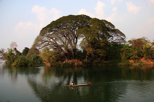 Quais são as vacinas necessárias antes de visitar a selva tropical?
