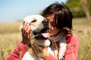 Benefícios de abraçar o seu animal de estimação