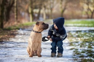 Animais de estimação ideais para crianças pequenas