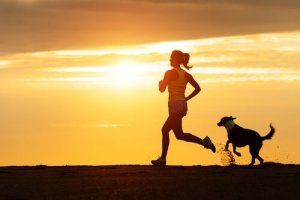 Conselhos para começar a correr com seu cão