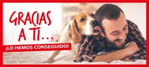 A campanha solidária da Kiwoko