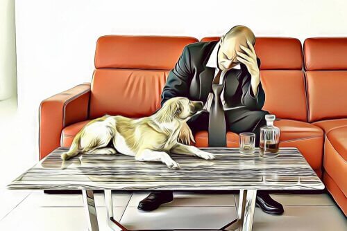 Divórcio e pets