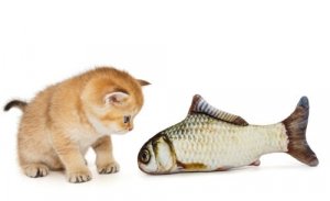 Histórias populares sobre gatos