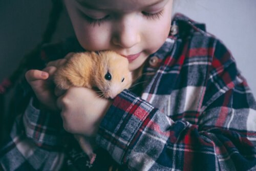Criança beijando hamster