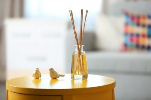 Aromatizadores especiais para casas com animais de estimação