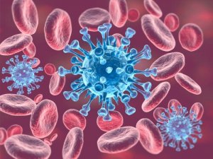 Os métodos de regulação homeostática