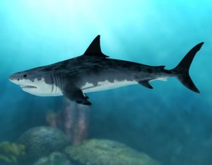 Megalodon: um dos terríveis predadores do passado