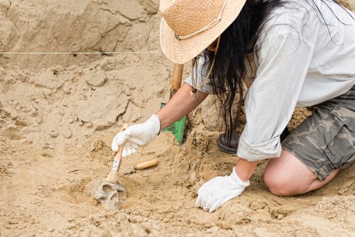Arqueóloga cavando