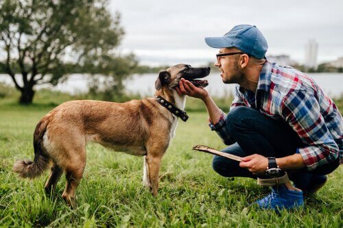 Cachorro com seu dono