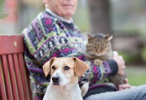Senhor idoso com cão e gato