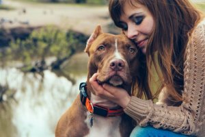 Adotar cães adultos: vantagens e desvantagens