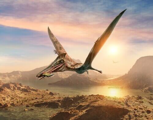 Pterossauro voando