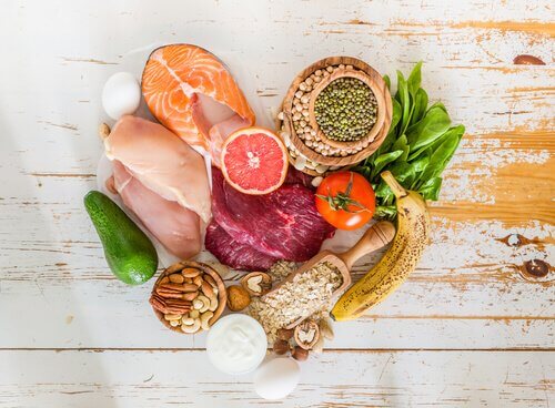 Benefícios da alimentação natural para cães e gatos