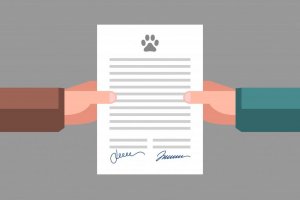 Documentação legal que todos os donos de animais devem ter